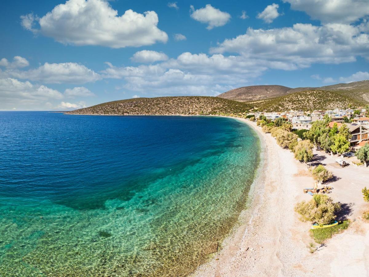 Arilena Studios Paralia  المظهر الخارجي الصورة
