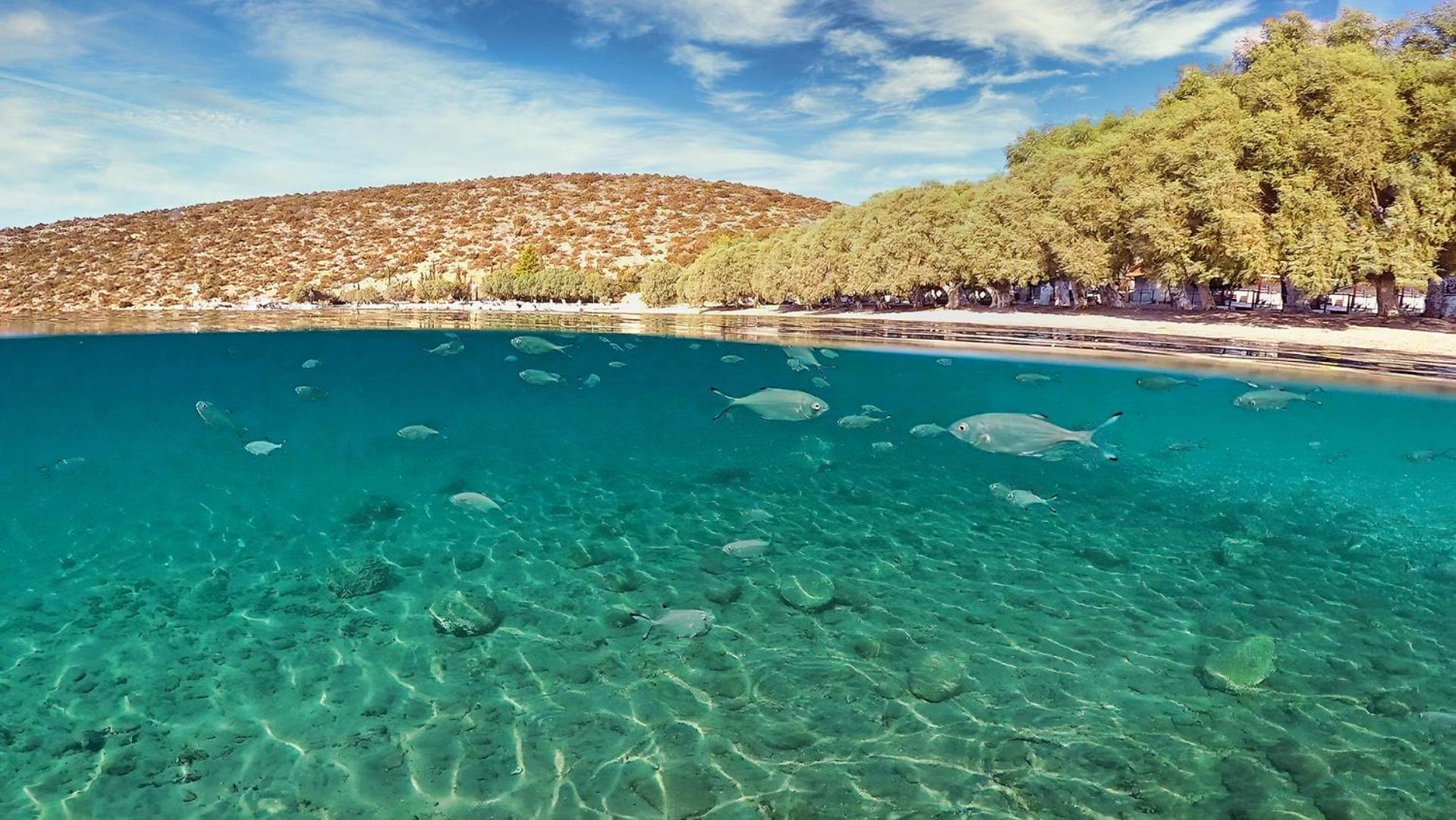 Arilena Studios Paralia  المظهر الخارجي الصورة